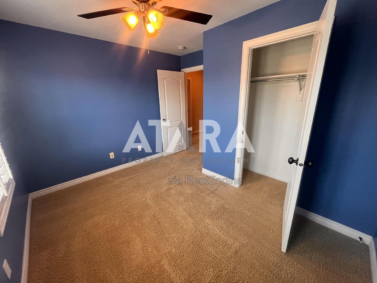 Gallery Image 21