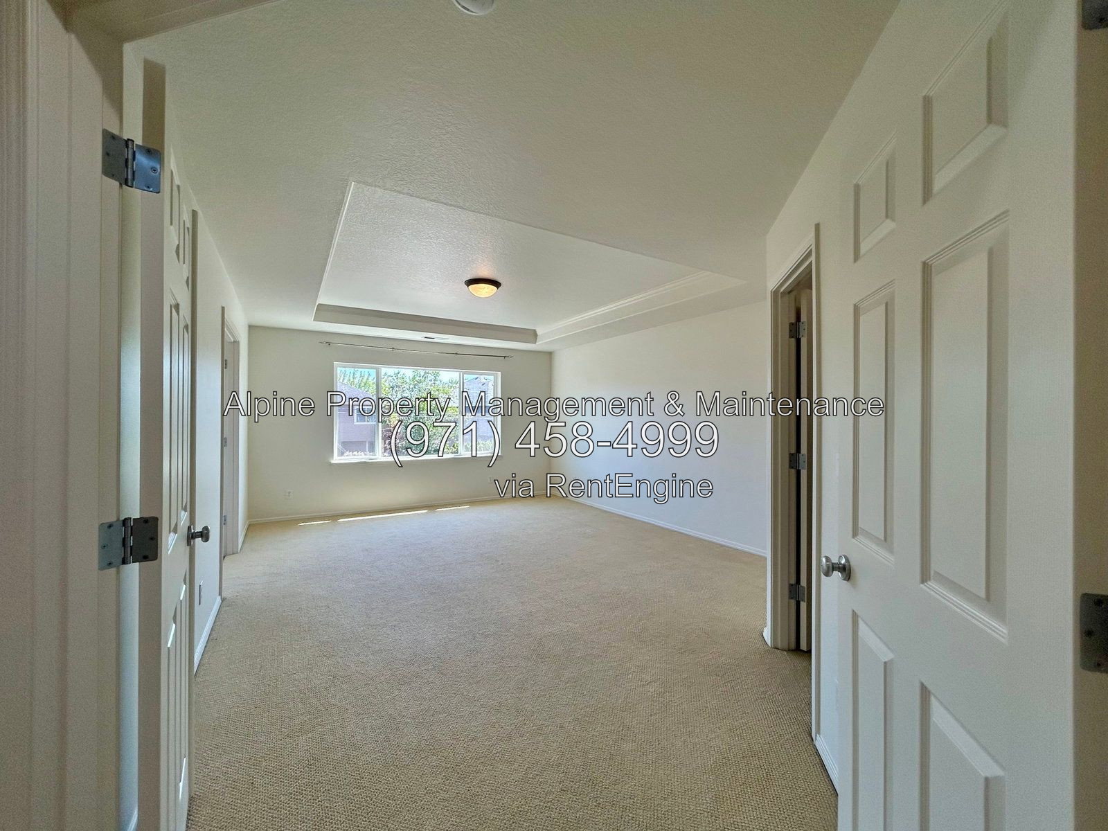 Gallery Image 31