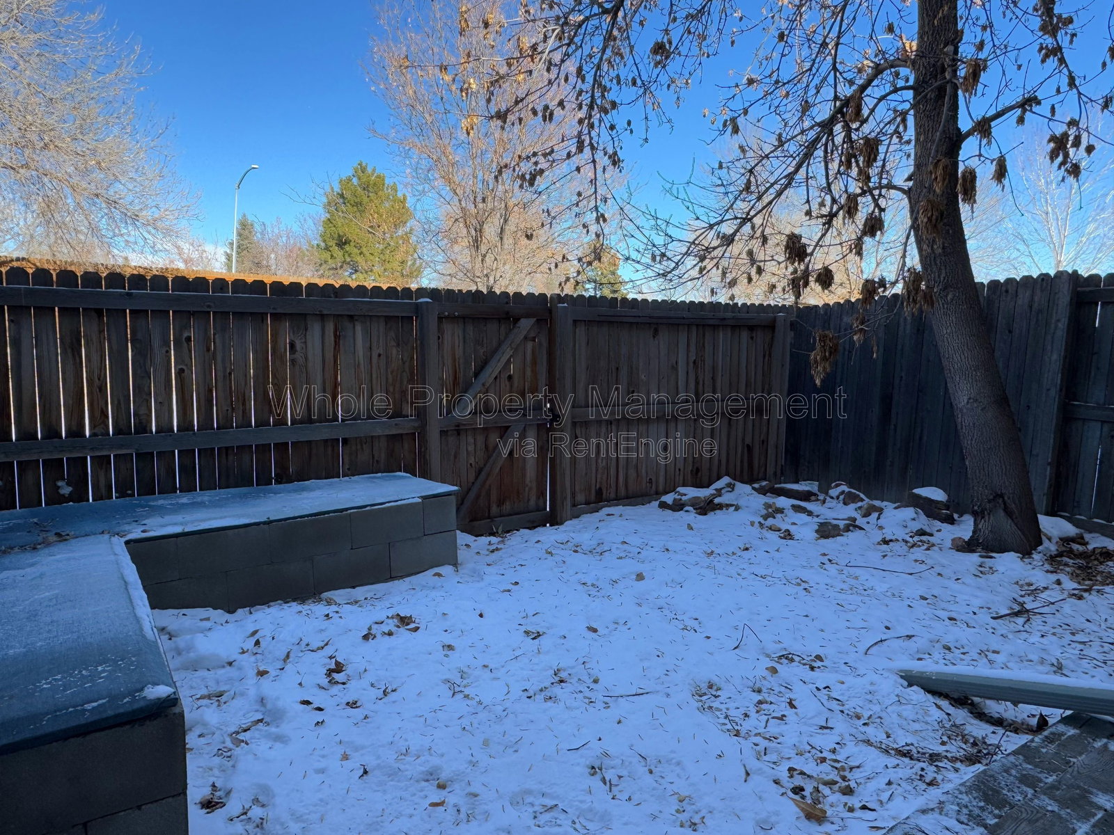 Gallery Image 18
