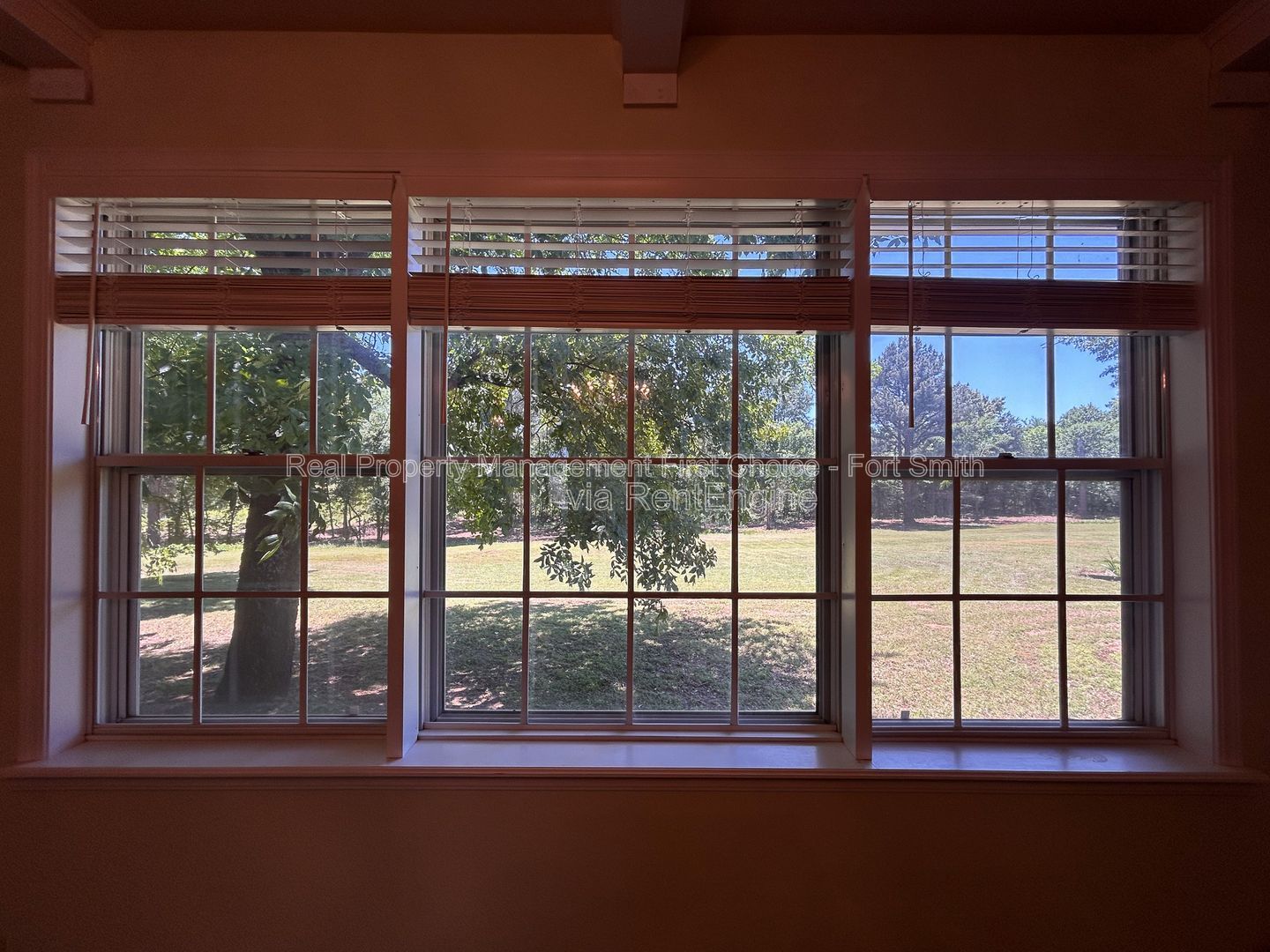 Gallery Image 15