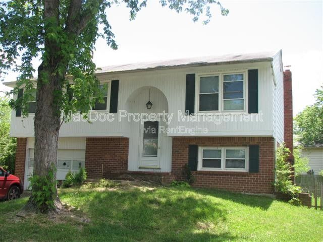 Gallery Image 38