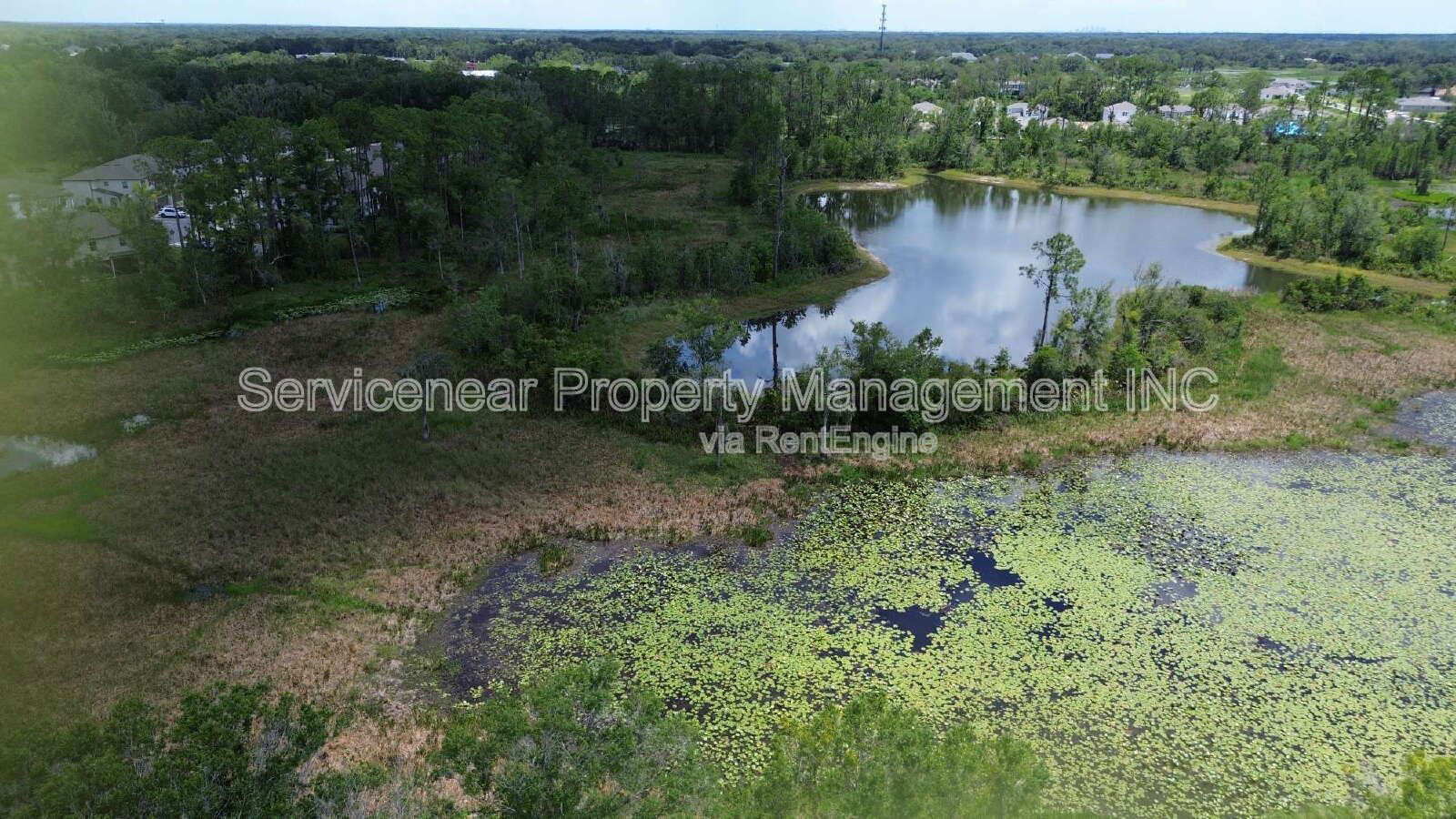 Gallery Image 17