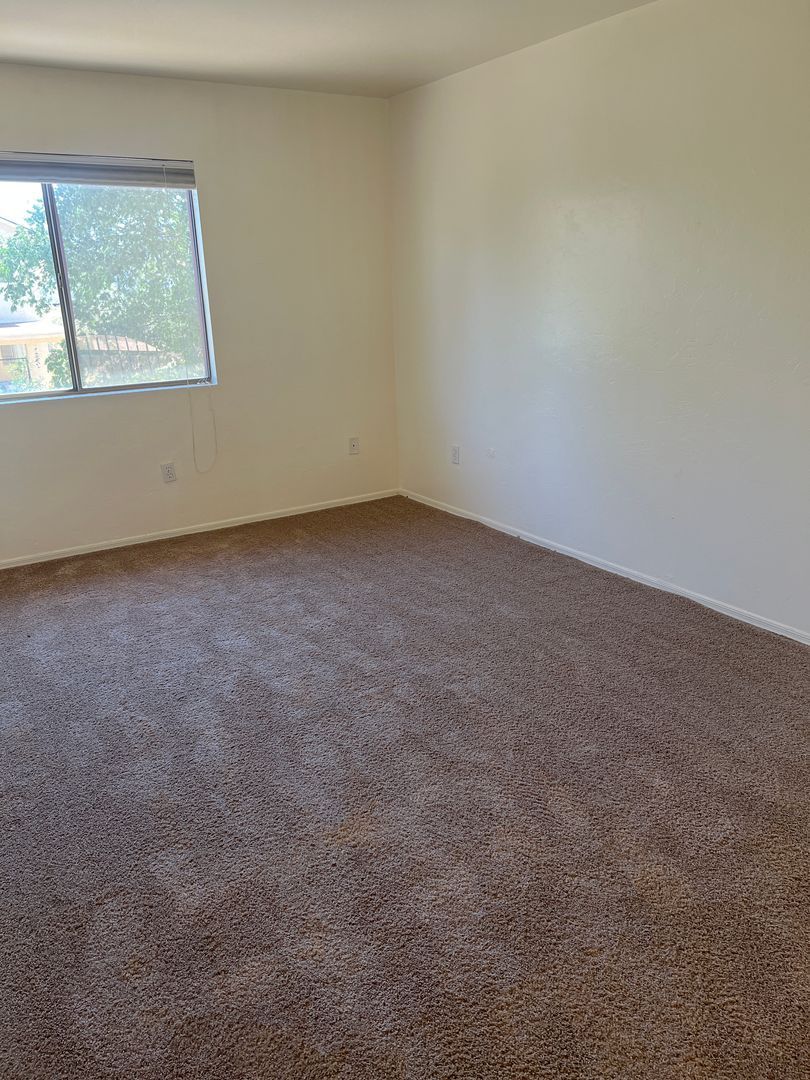 Gallery Image 17