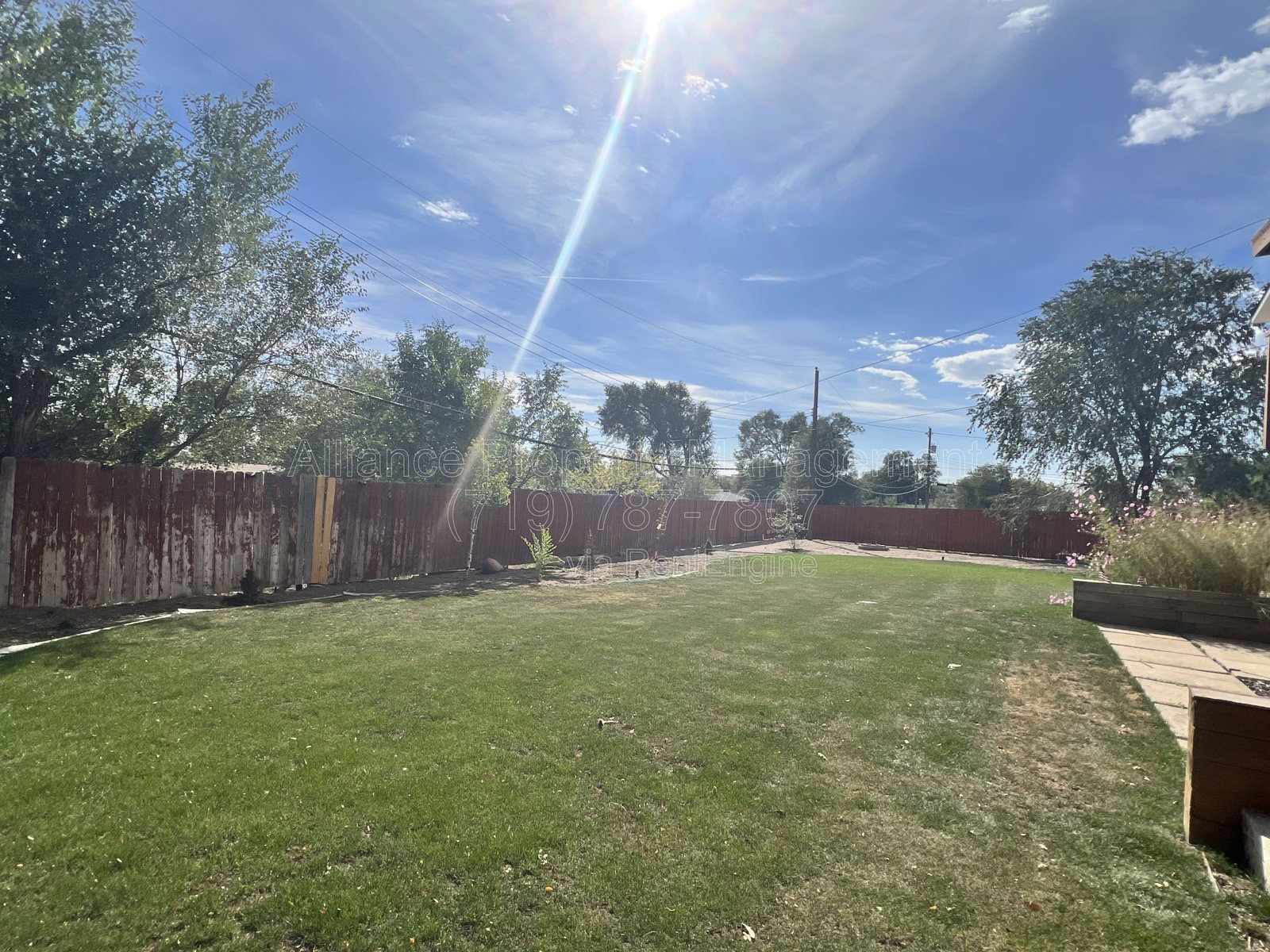 Gallery Image 41