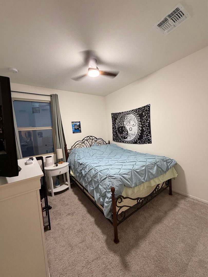 Gallery Image 20