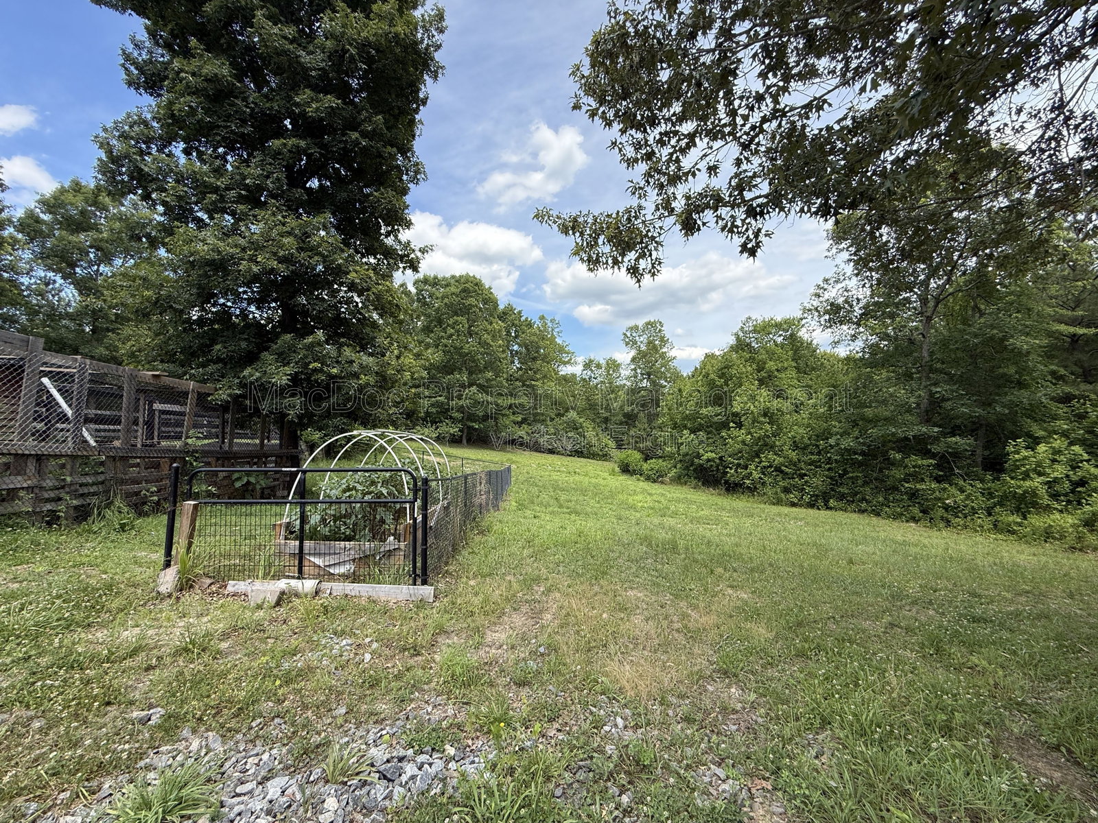 Gallery Image 41
