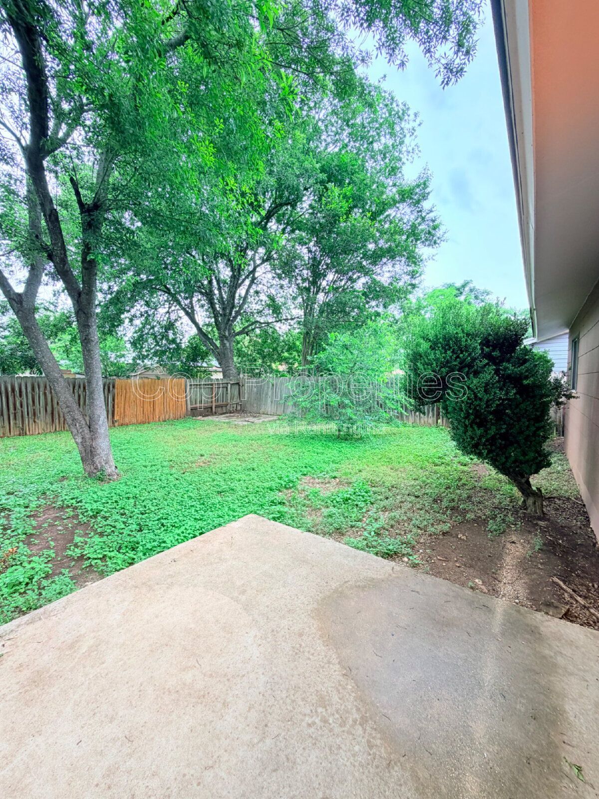 Gallery Image 19