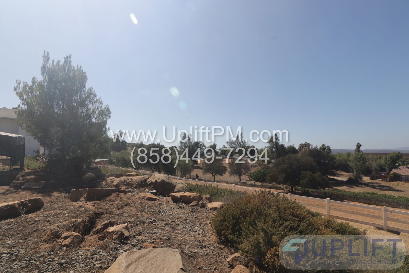 Gallery Image 12