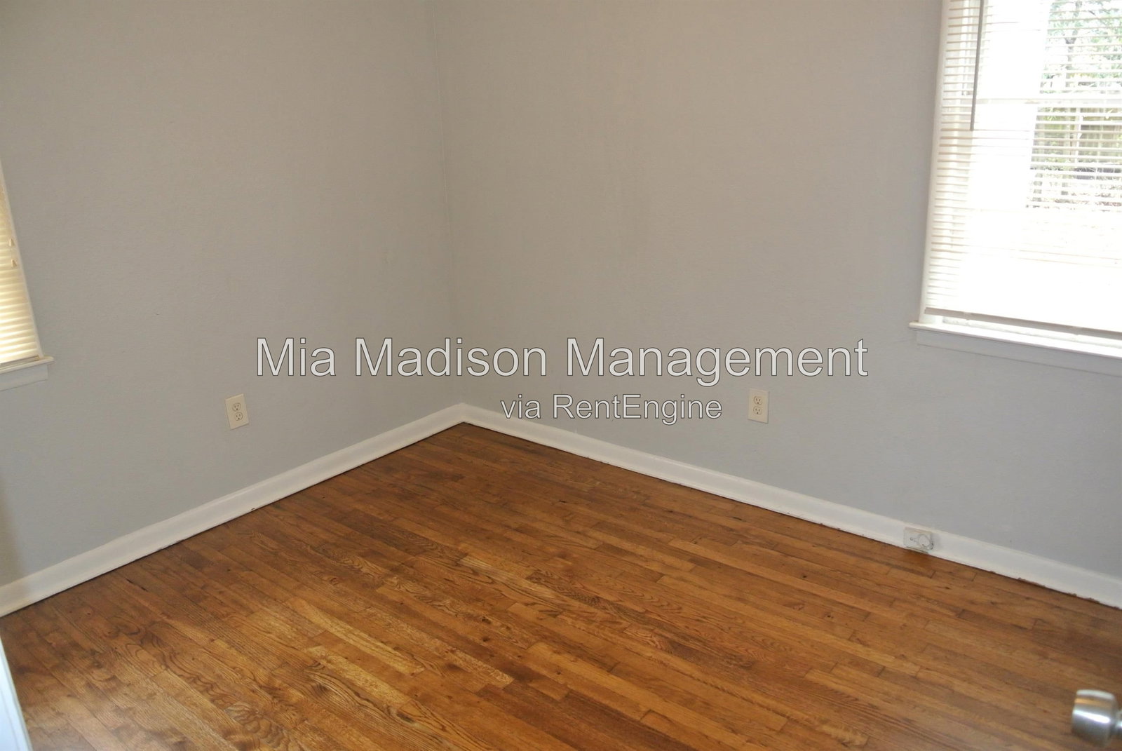 Gallery Image 7