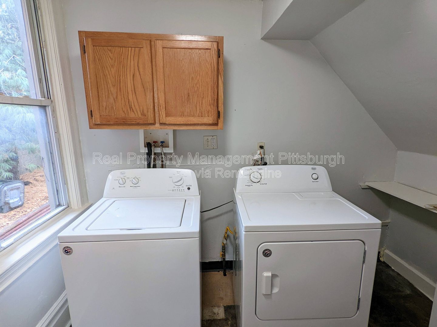 Gallery Image 16