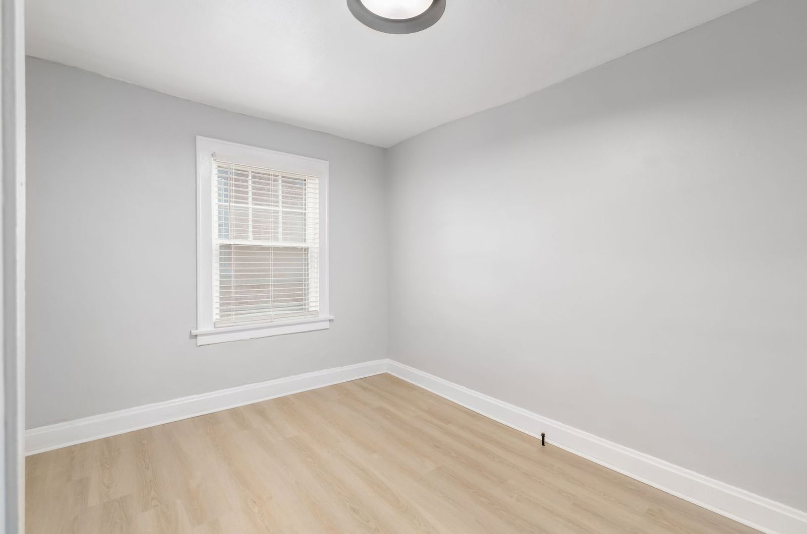 Gallery Image 25