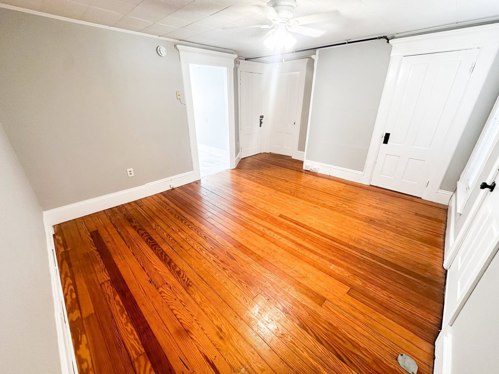 Gallery Image 15