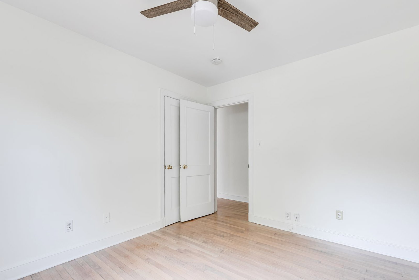 Gallery Image 16