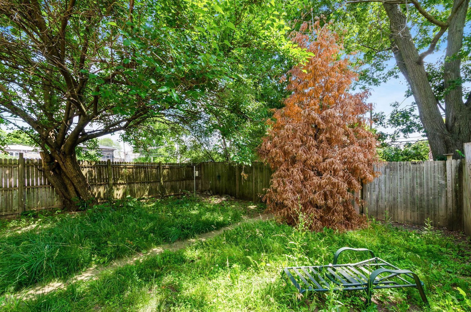 Gallery Image 9