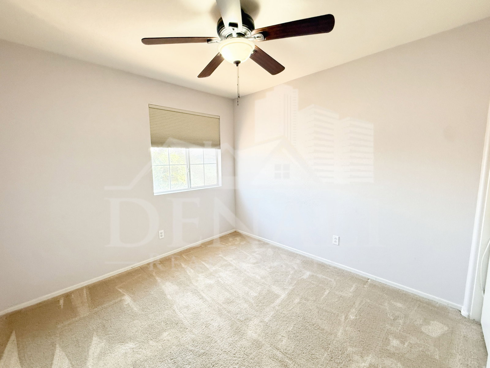 Gallery Image 19