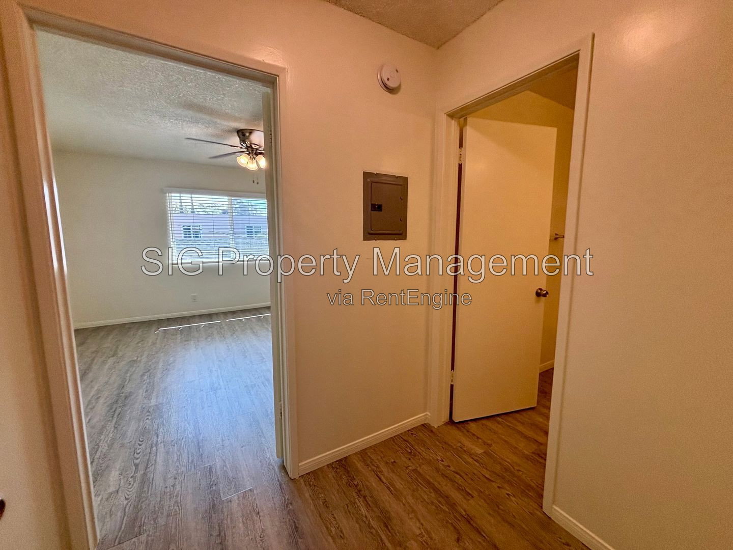 Gallery Image 12
