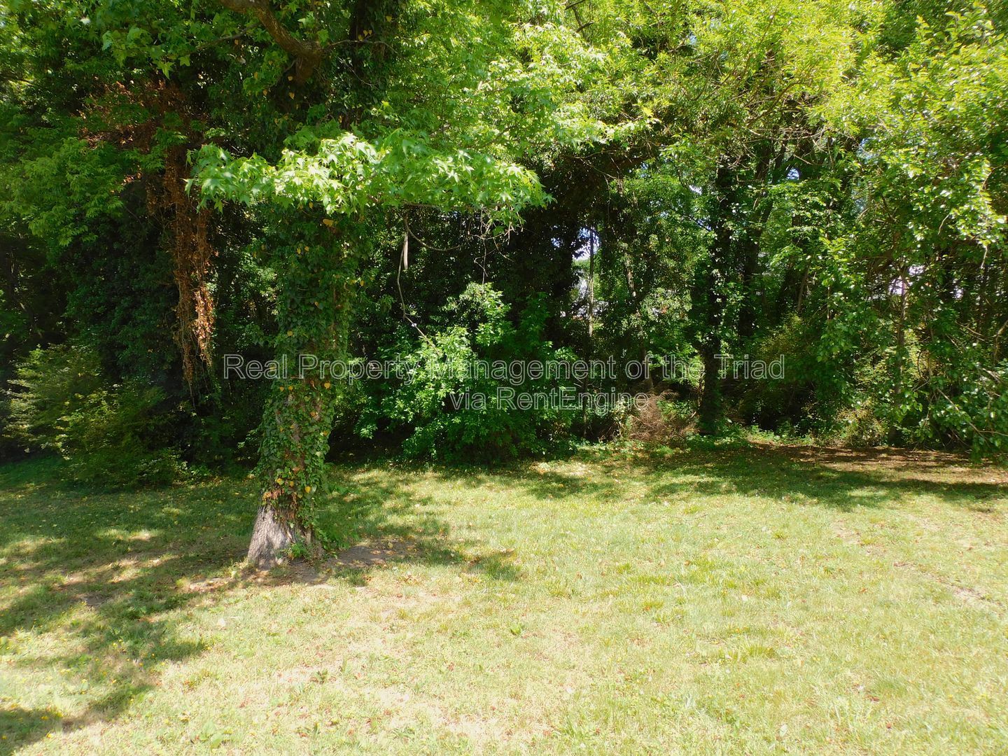 Gallery Image 14