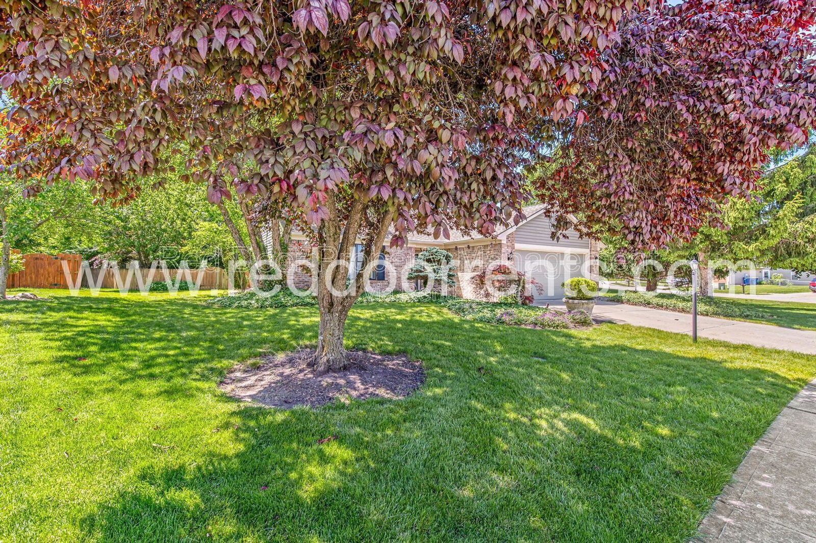 Gallery Image 22