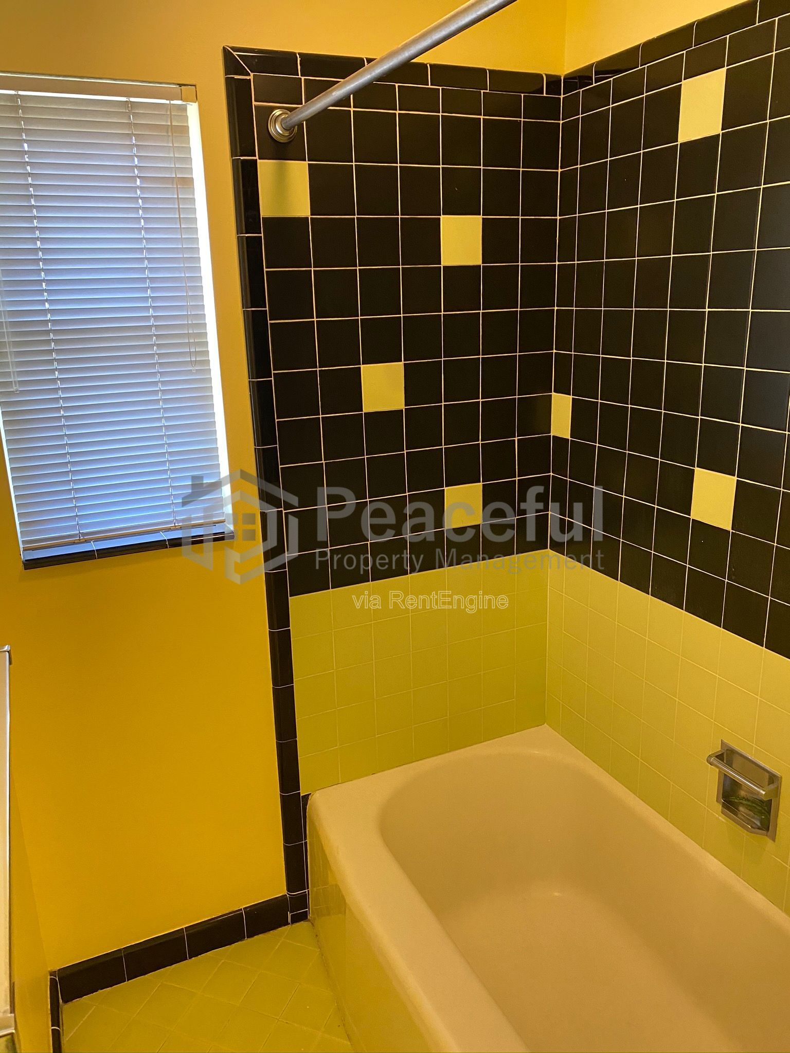 Gallery Image 16