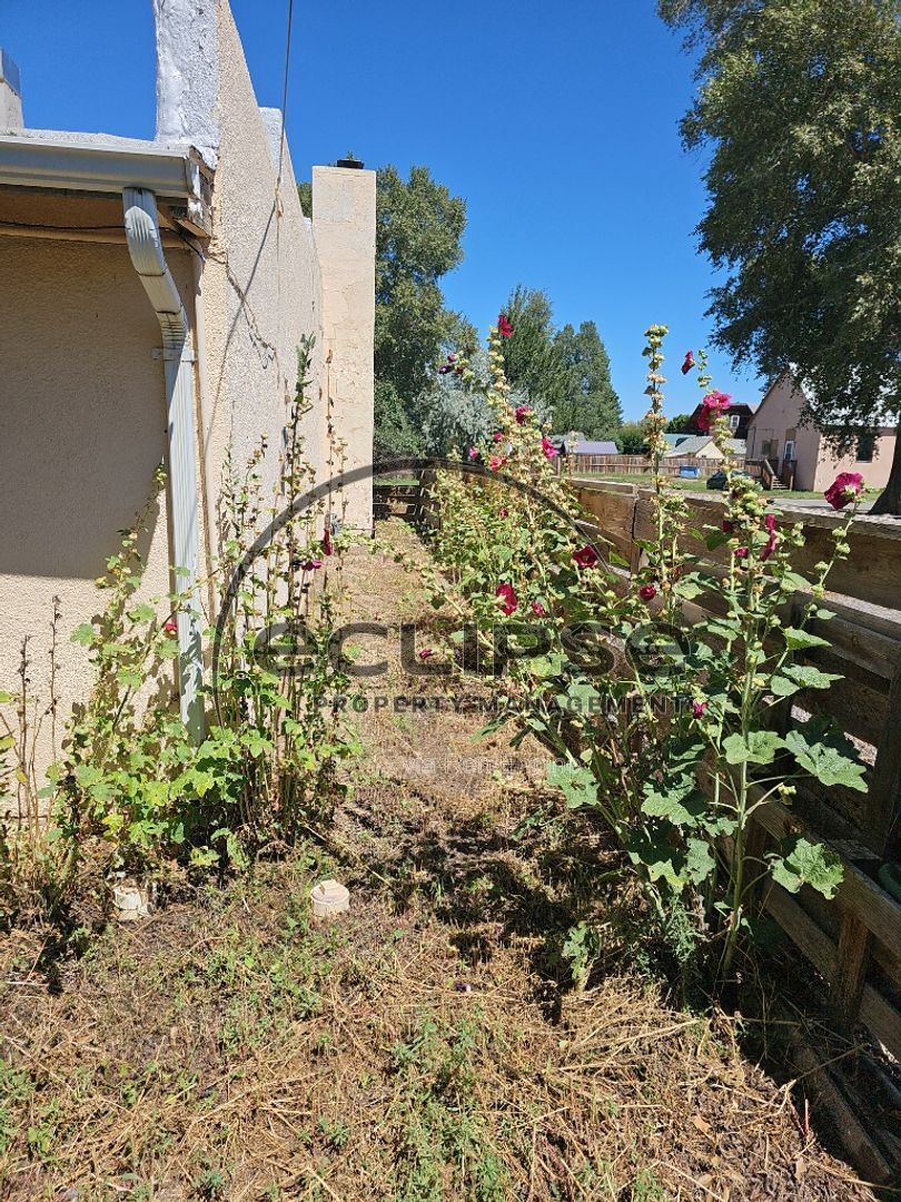 Gallery Image 18