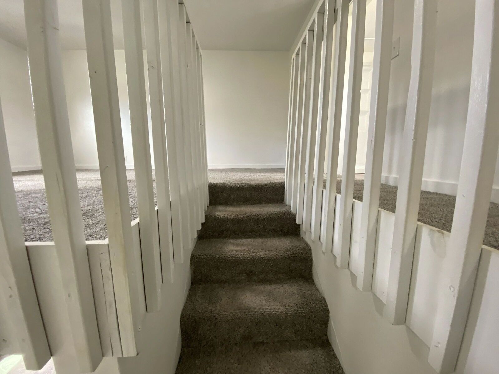 Gallery Image 18