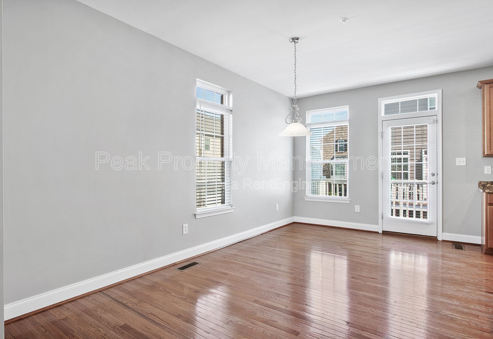 Gallery Image 20