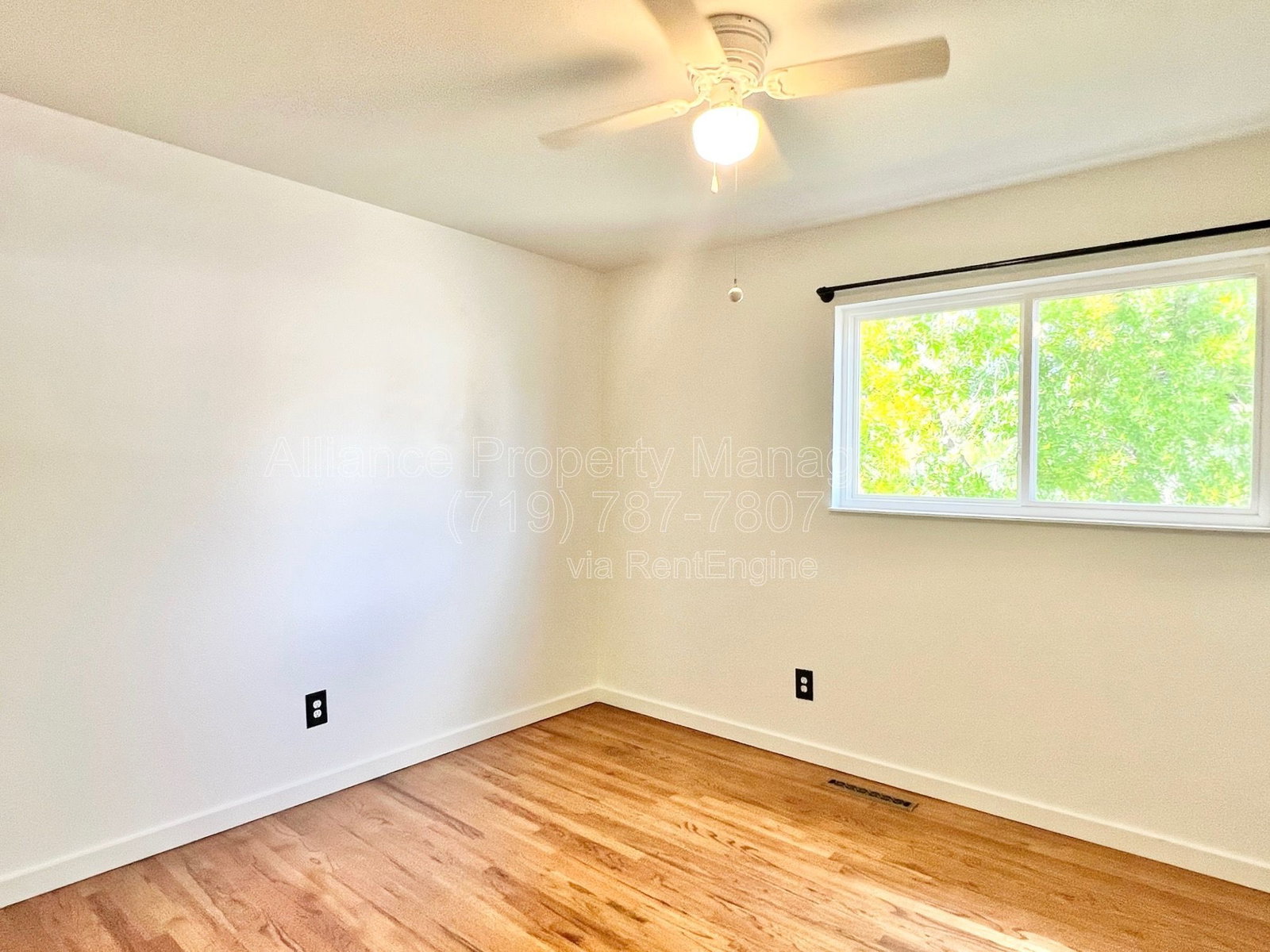 Gallery Image 16