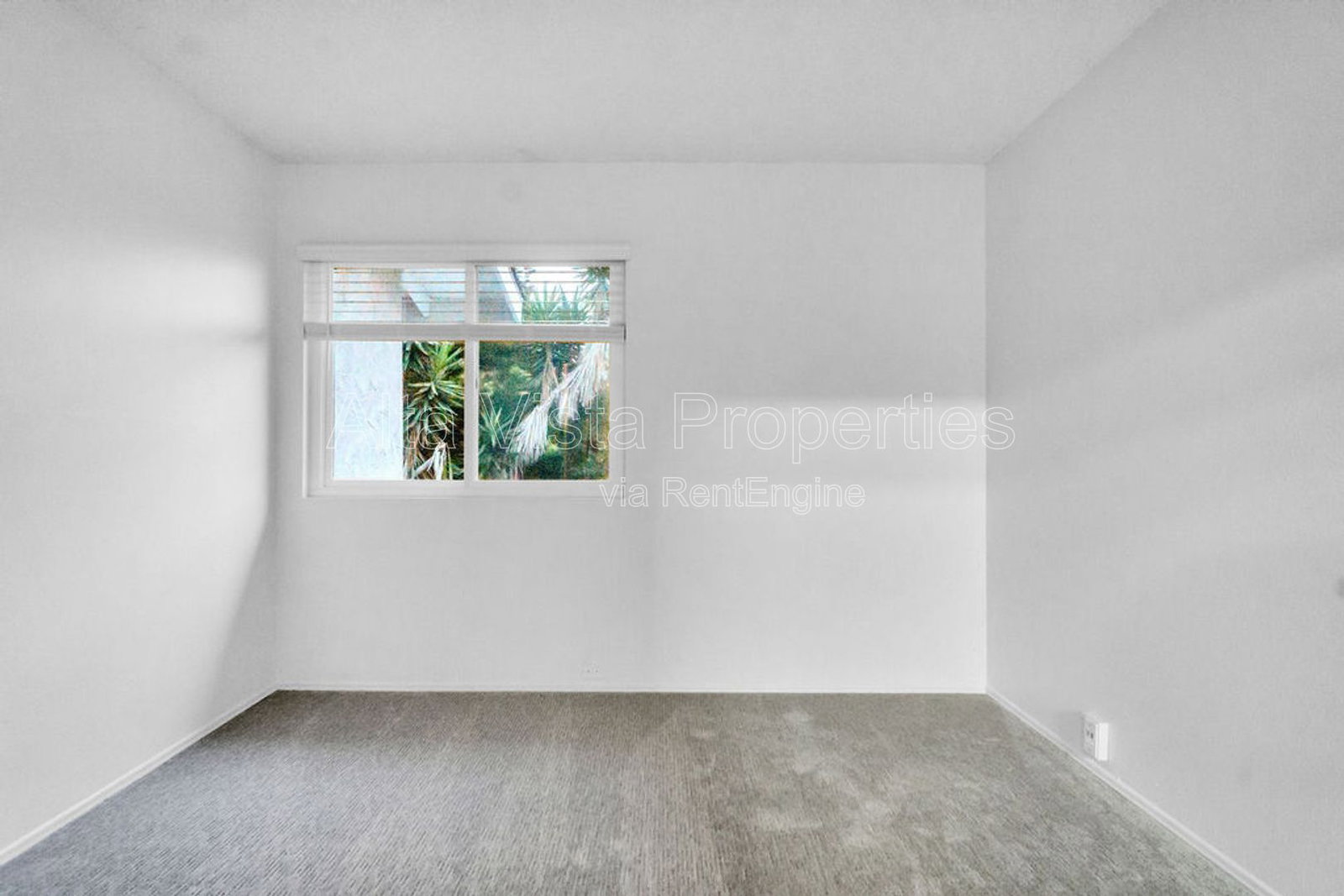 Gallery Image 25