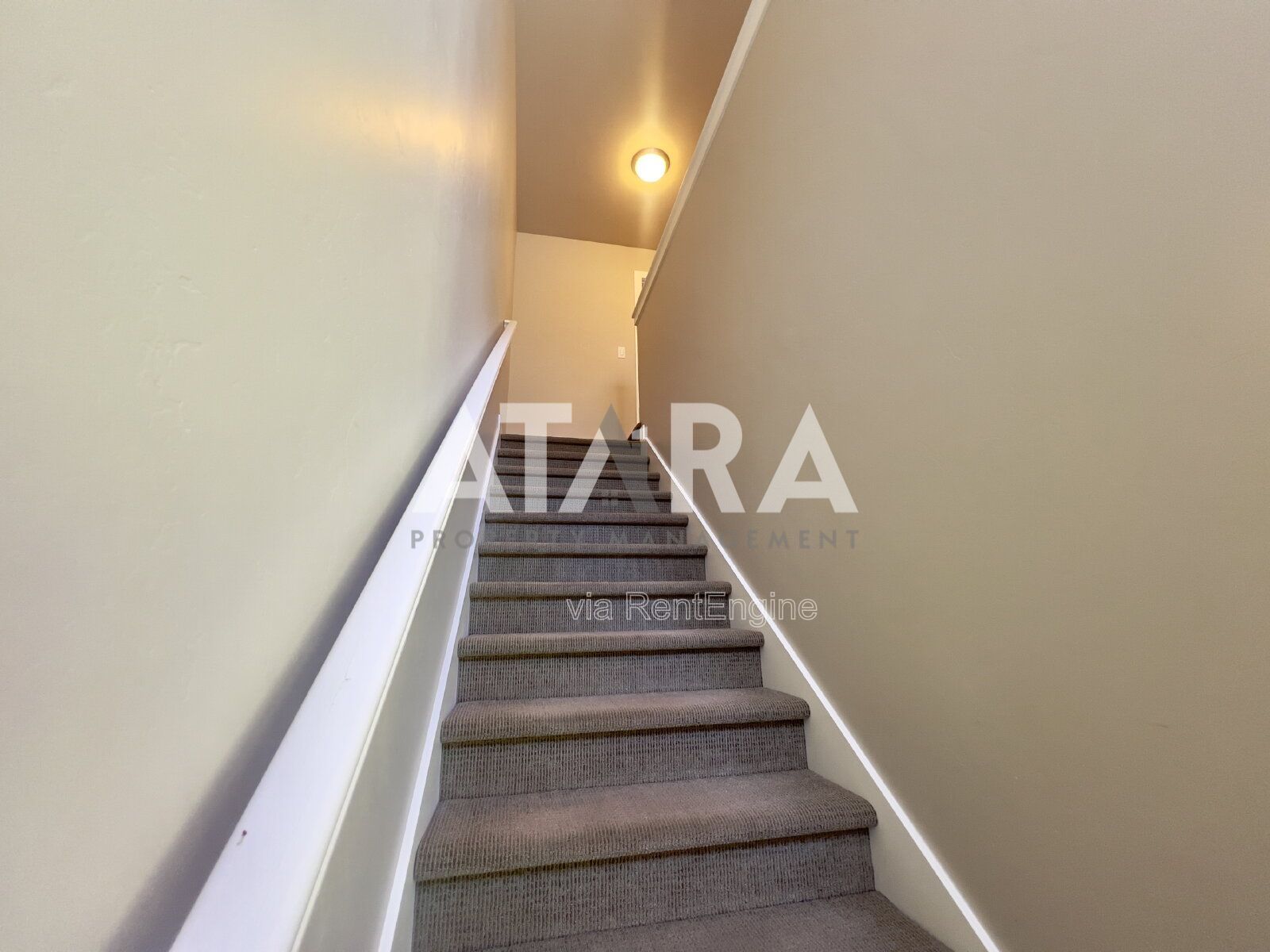Gallery Image 22