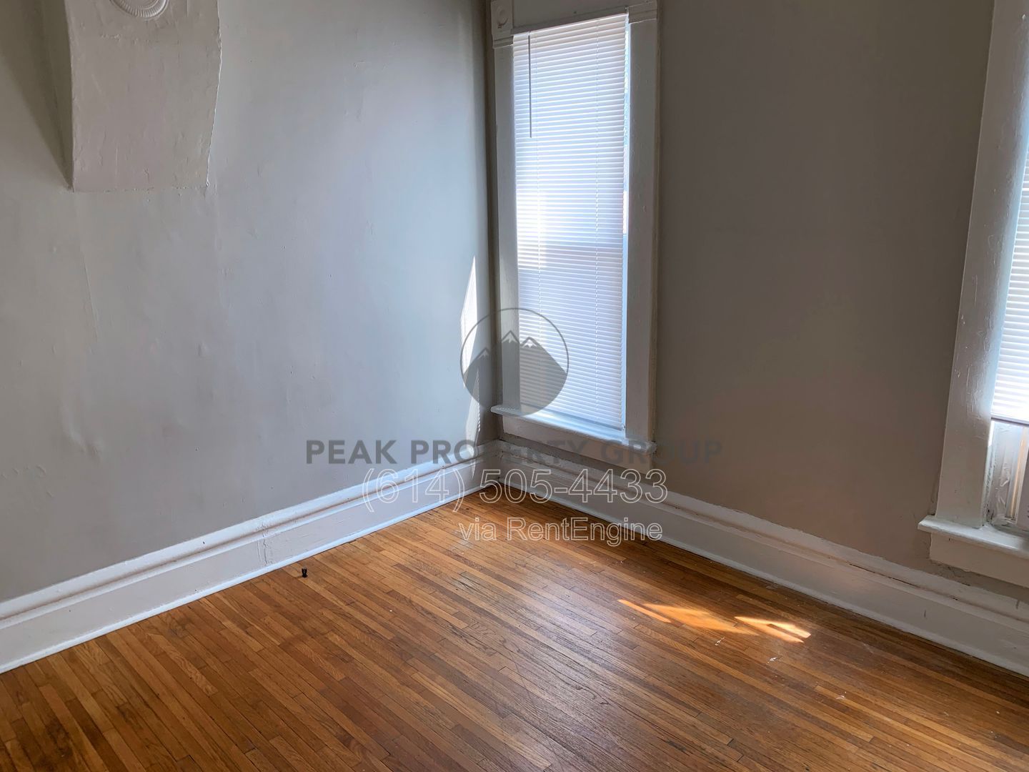 Gallery Image 11