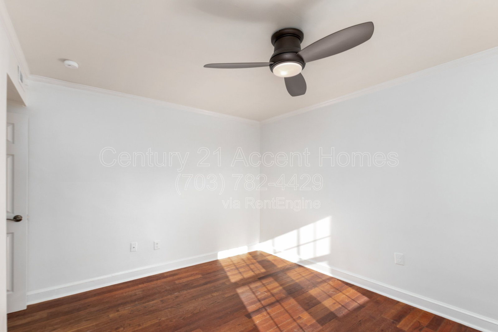 Gallery Image 20