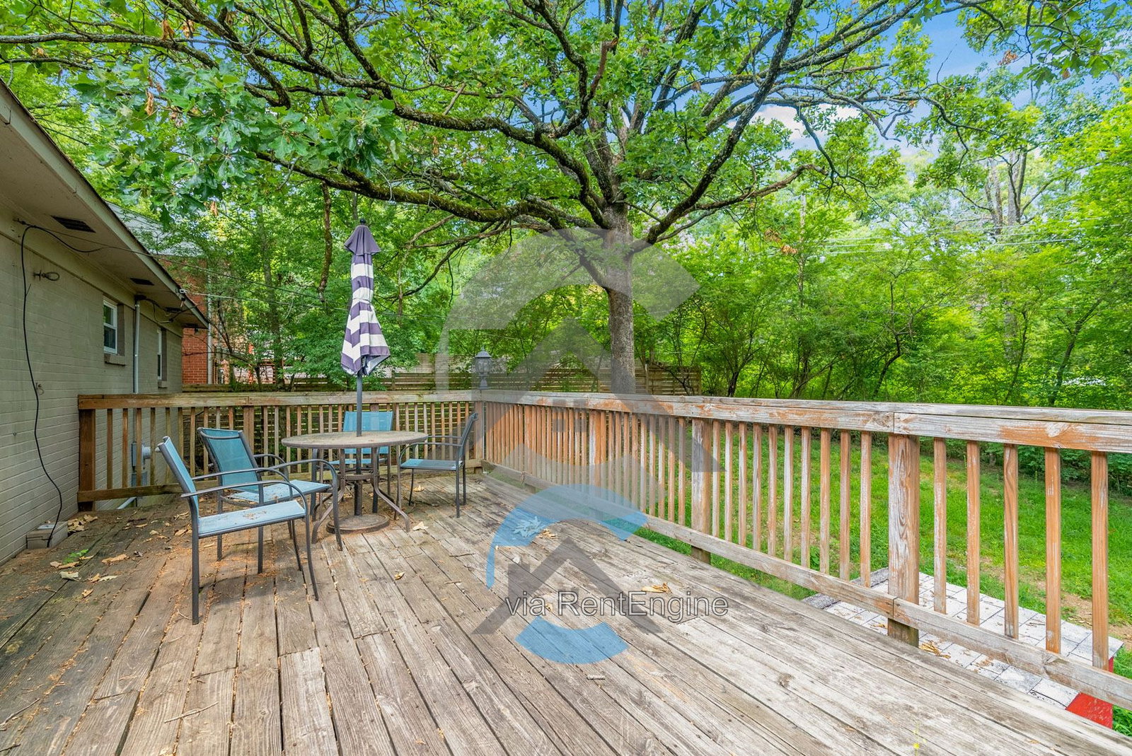 Gallery Image 13