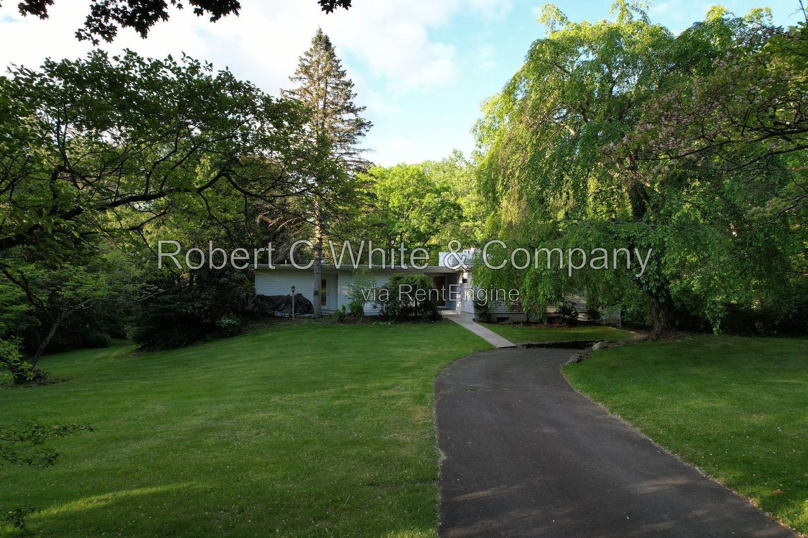 Gallery Image 0