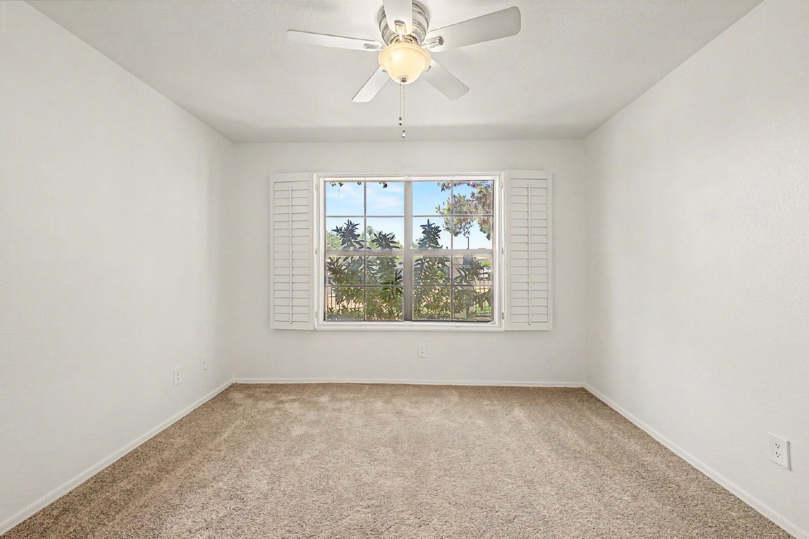 Gallery Image 19