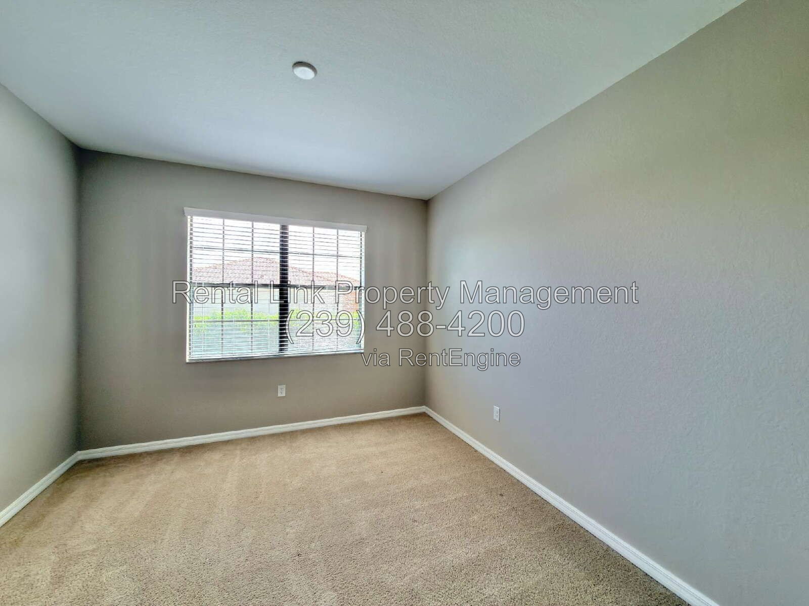 Gallery Image 31