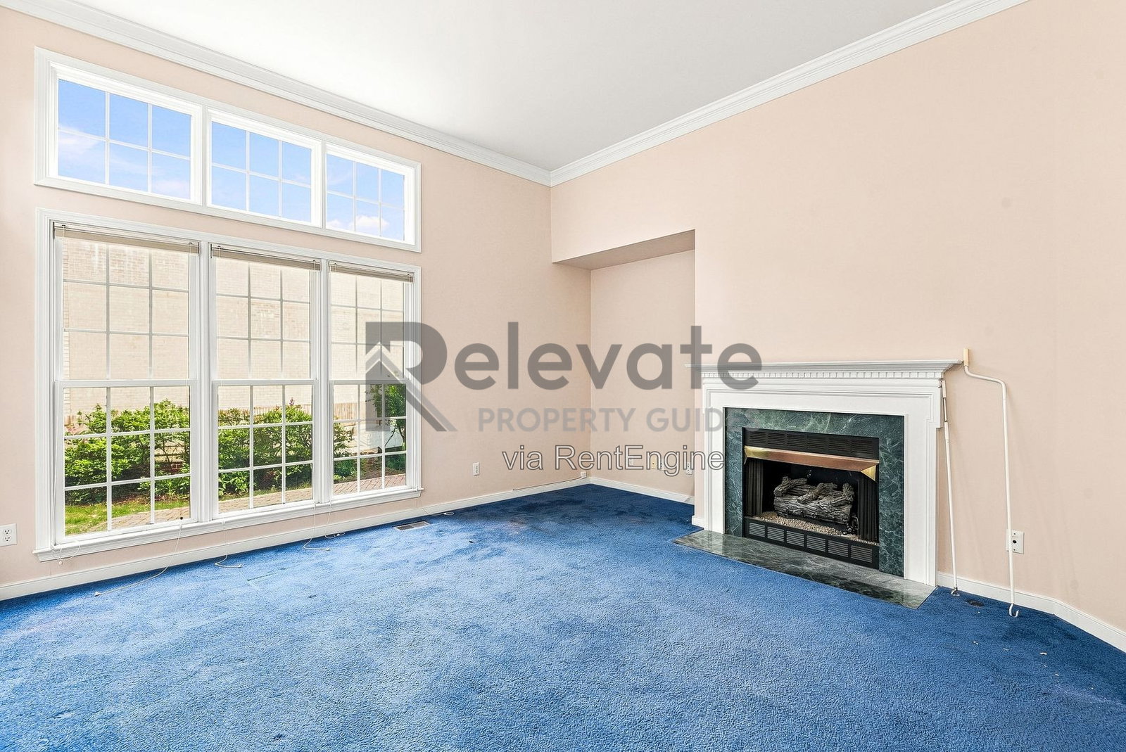 Gallery Image 12