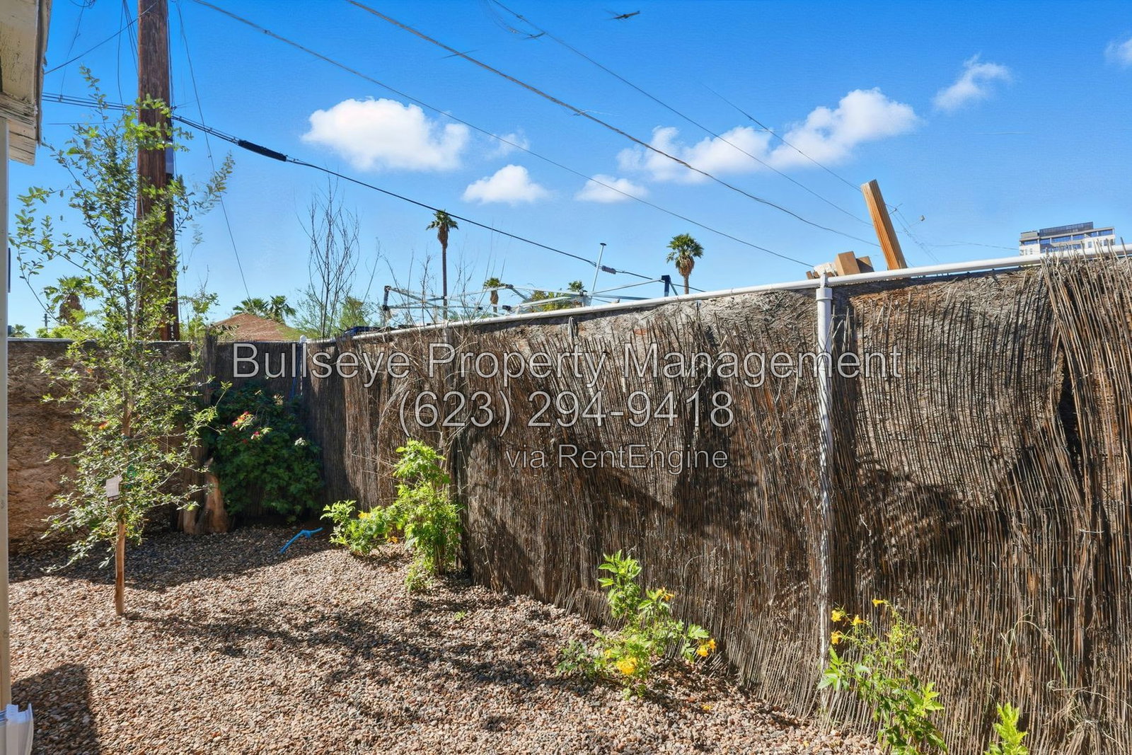 Gallery Image 16