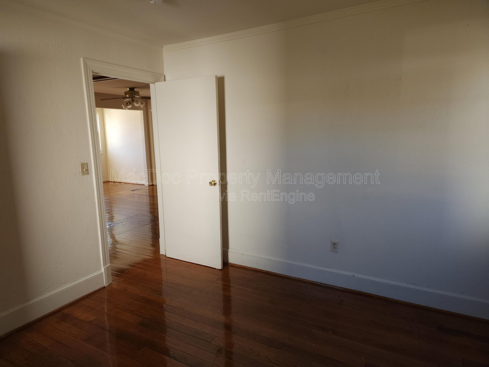Gallery Image 19
