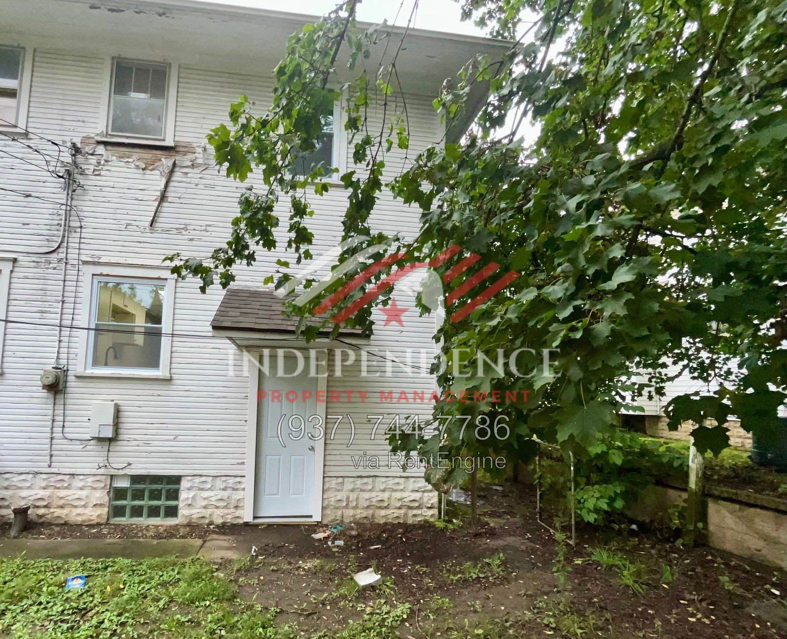 Gallery Image 15
