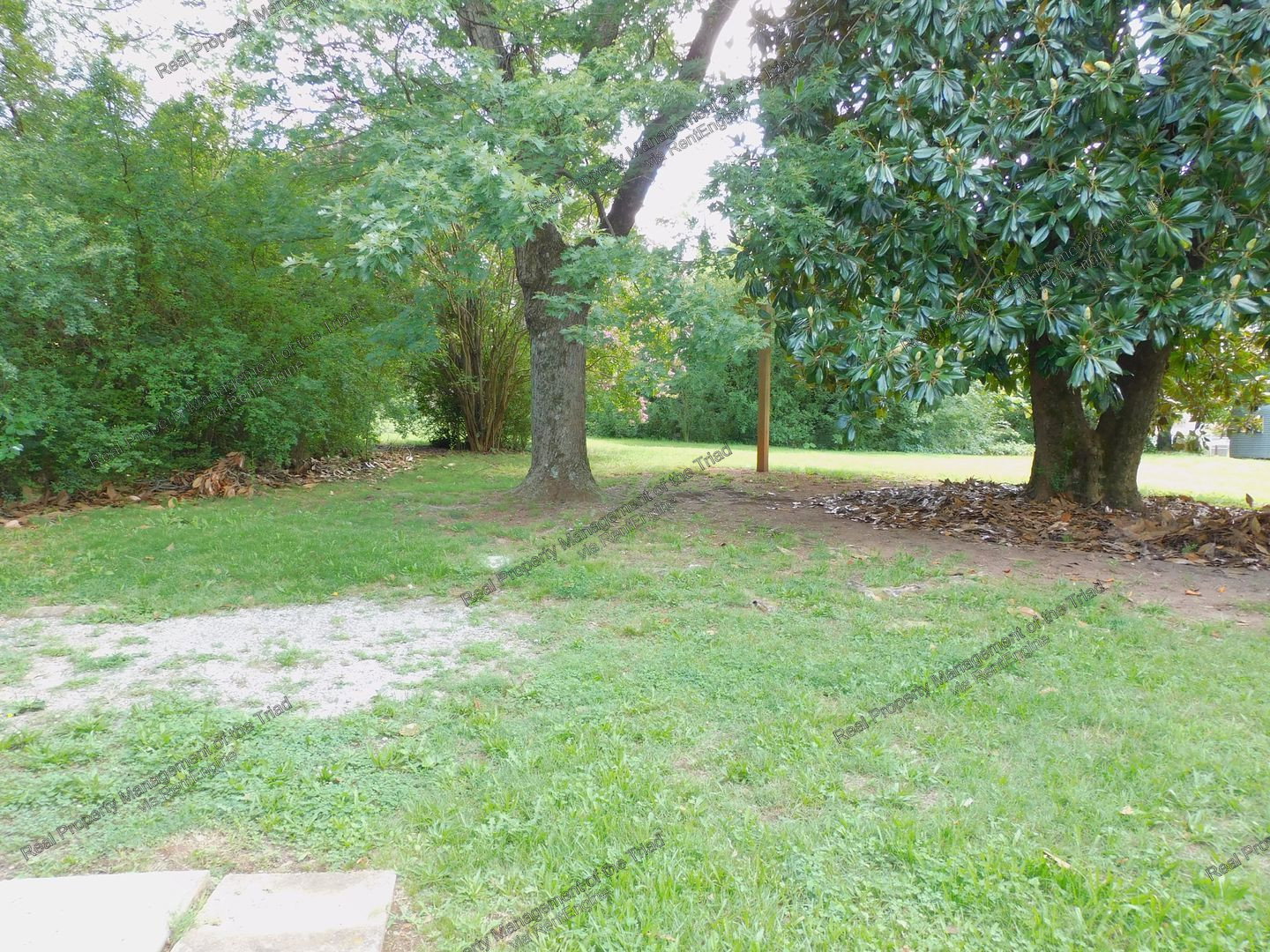 Gallery Image 17