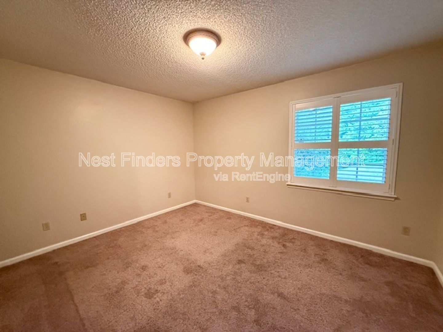 Gallery Image 20