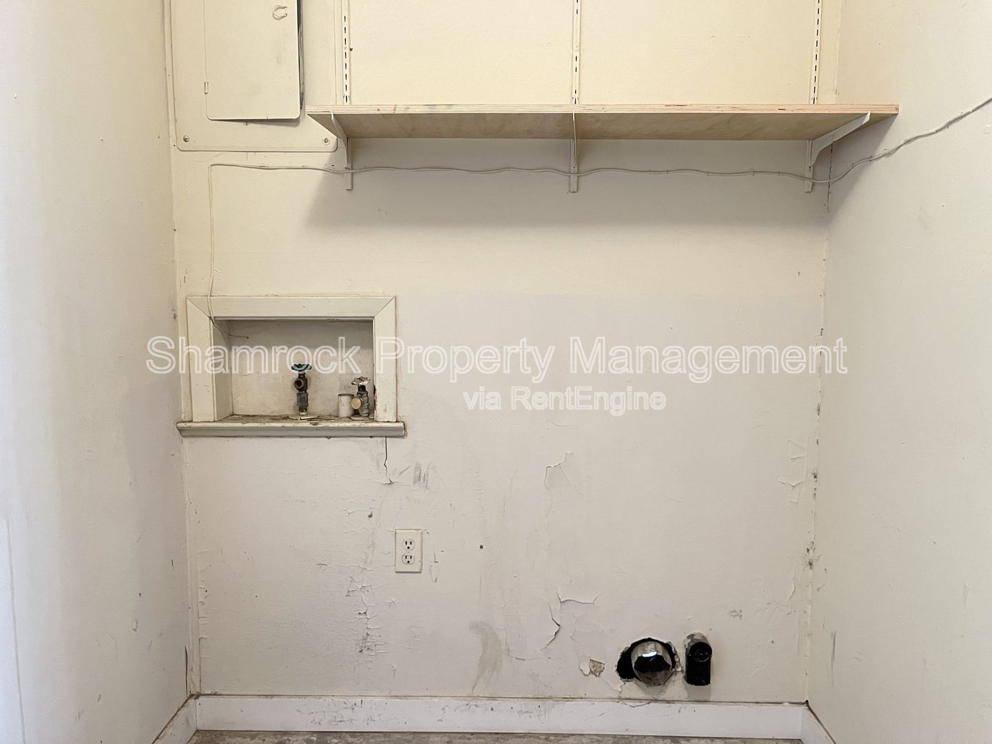 Gallery Image 16