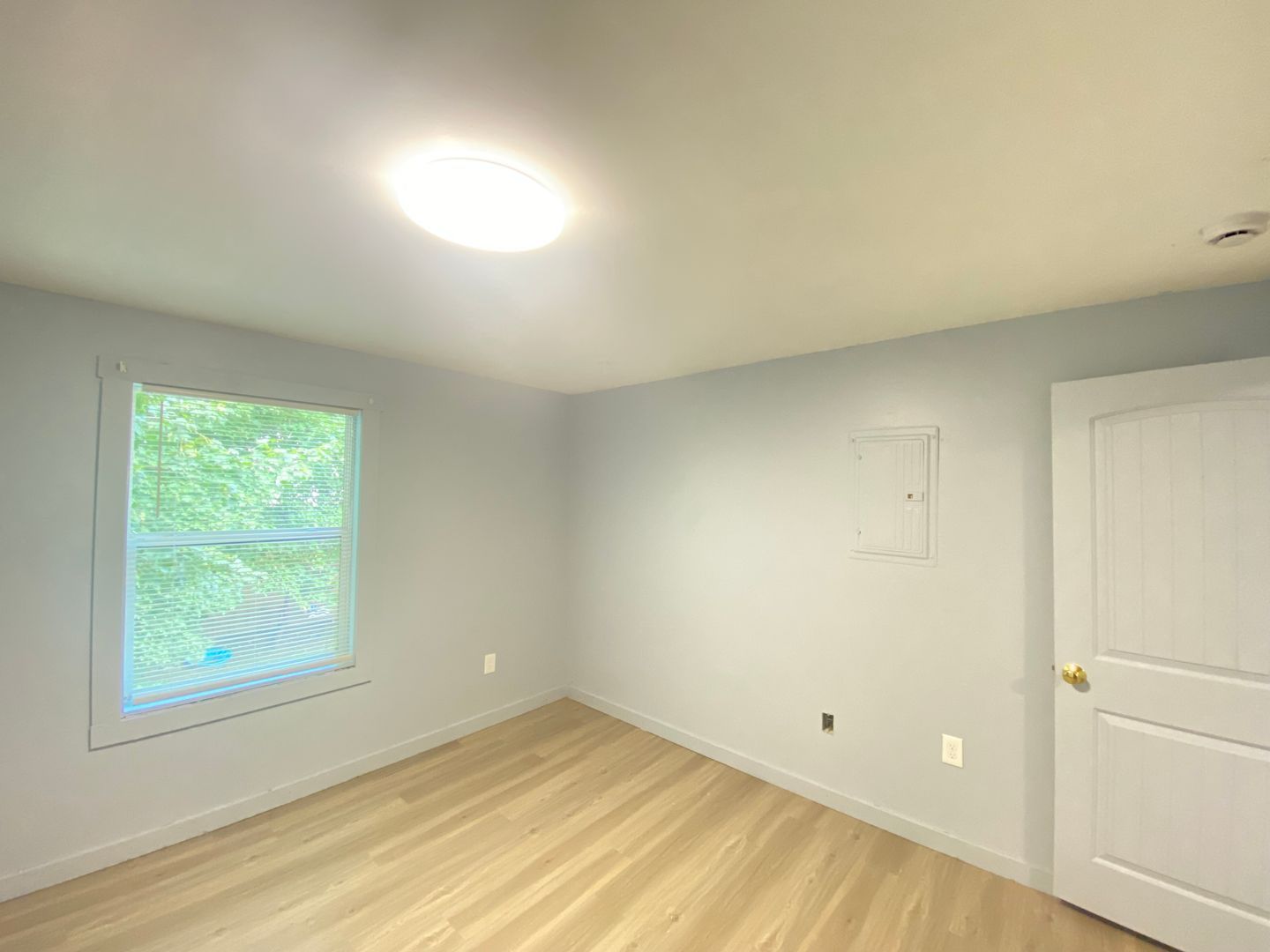 Gallery Image 11