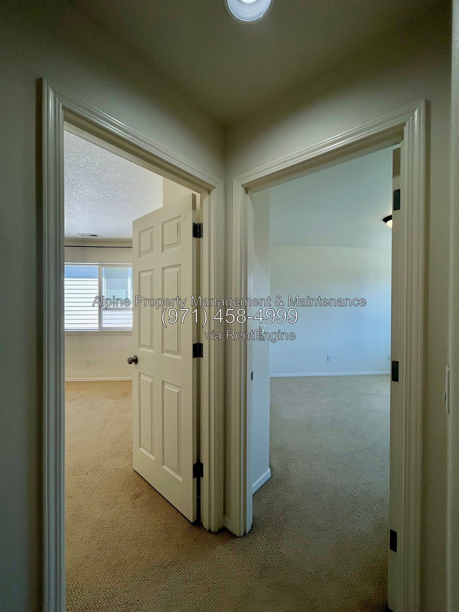 Gallery Image 53