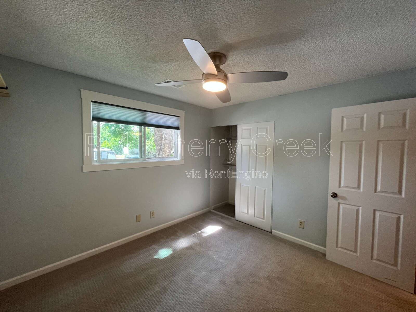 Gallery Image 19