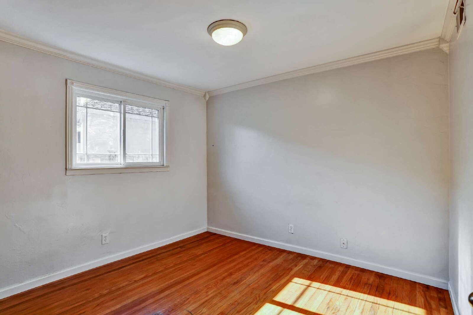Gallery Image 16