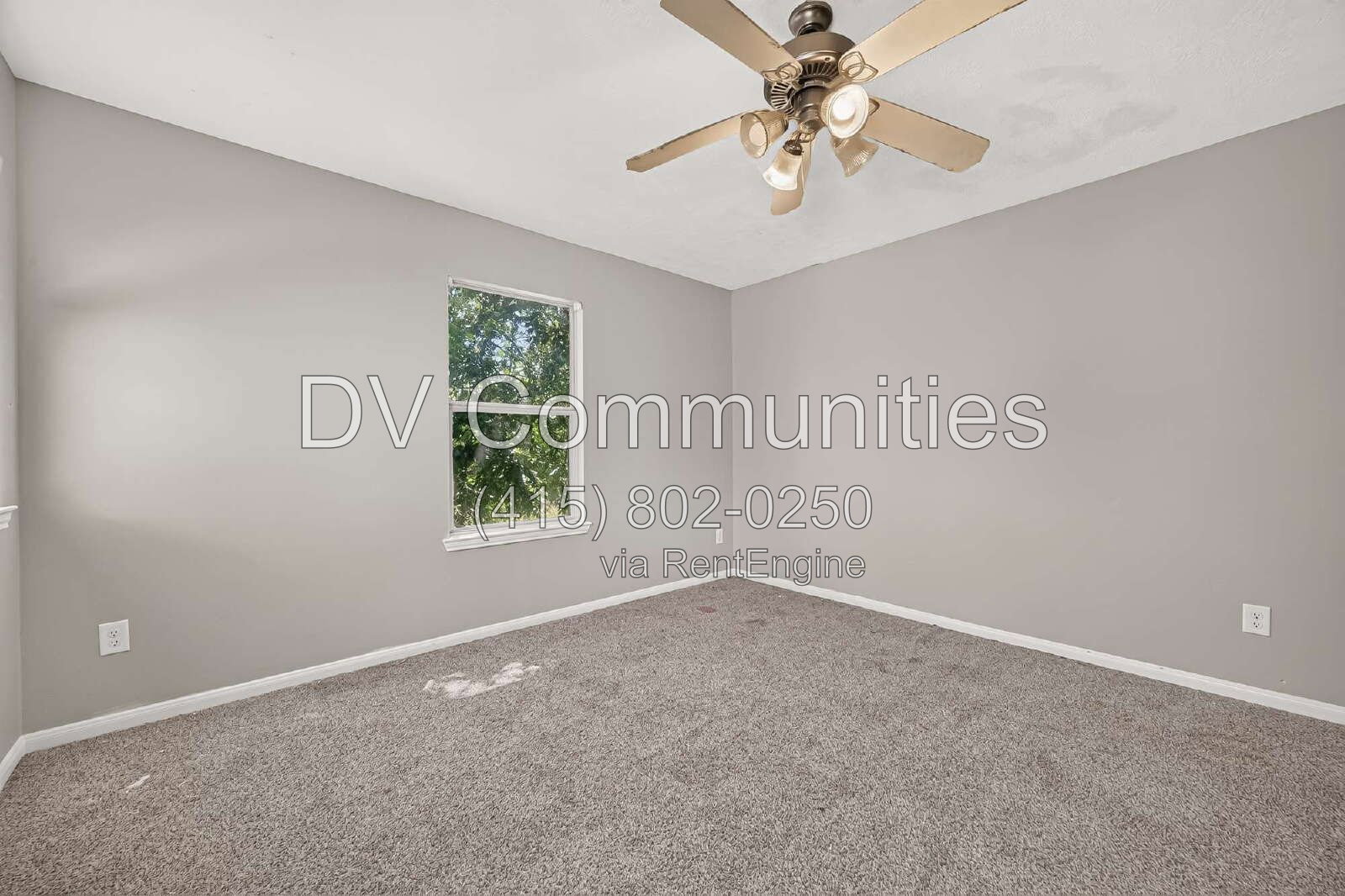 Gallery Image 22