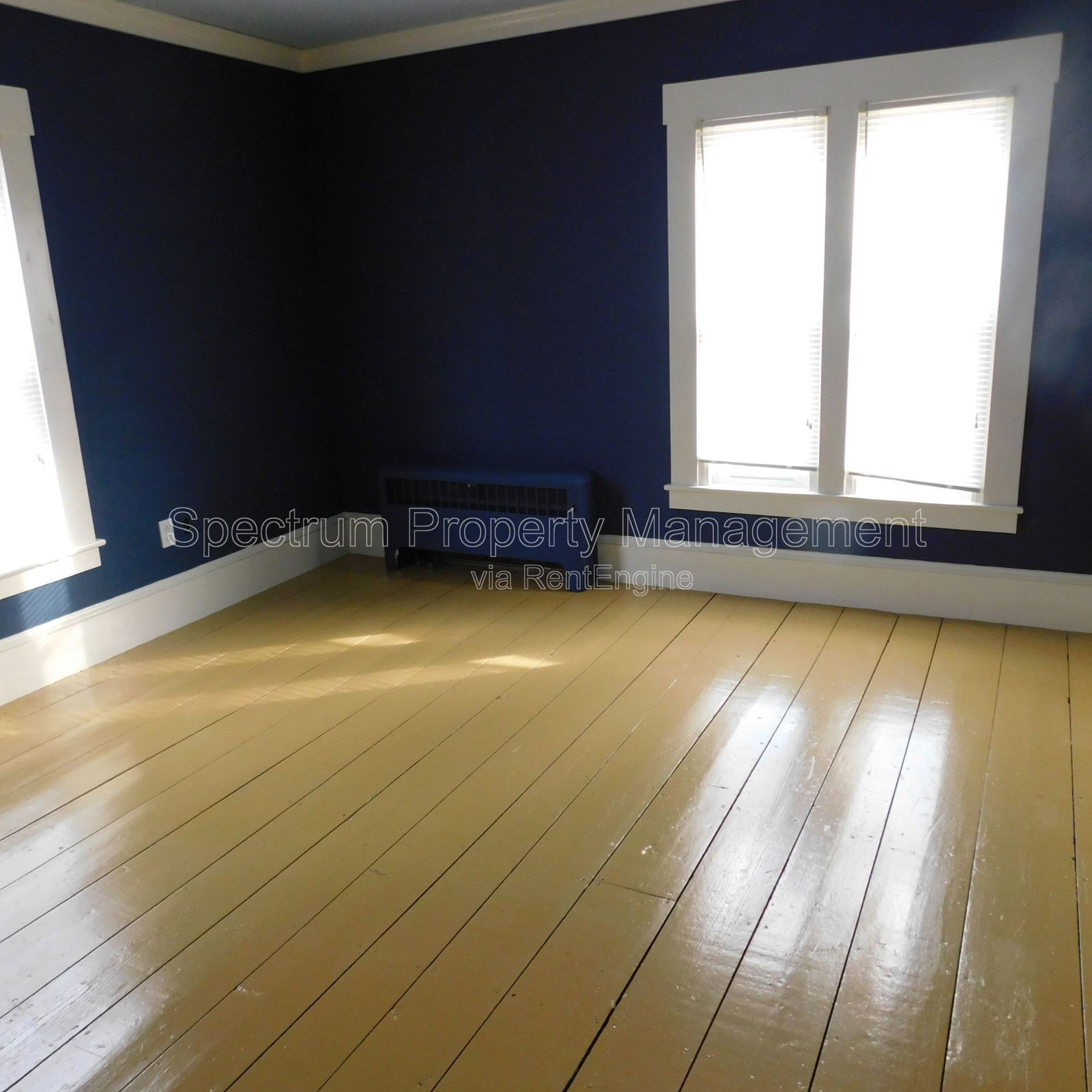 Gallery Image 11