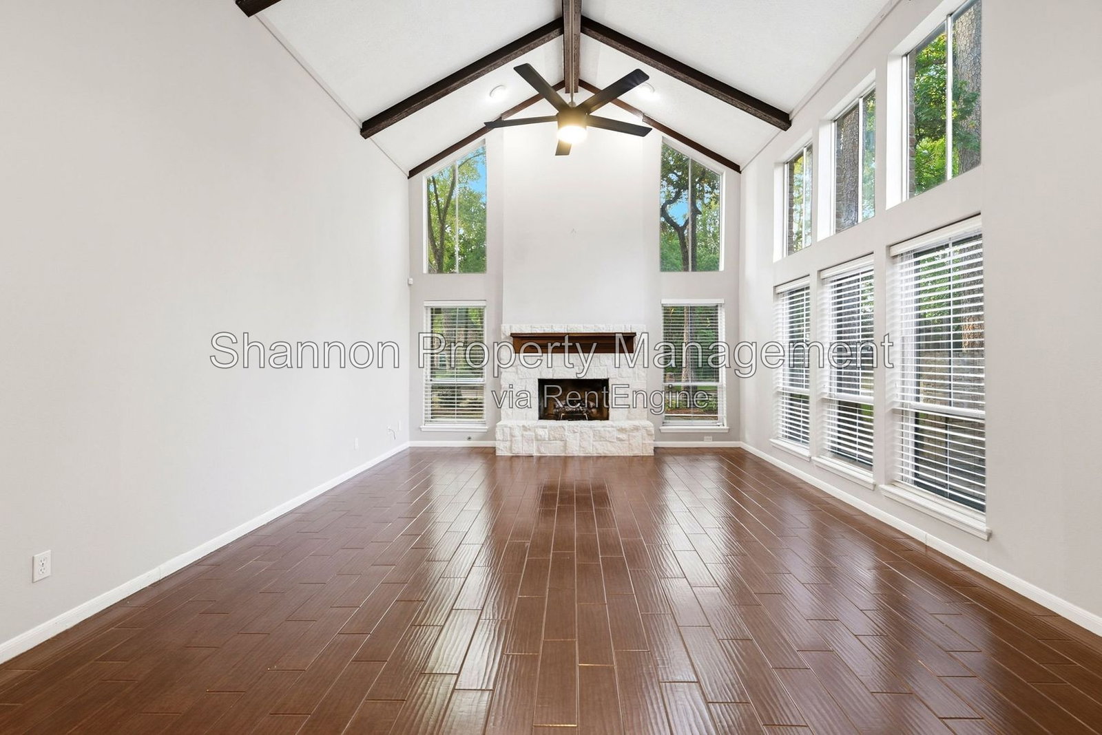 Gallery Image 11