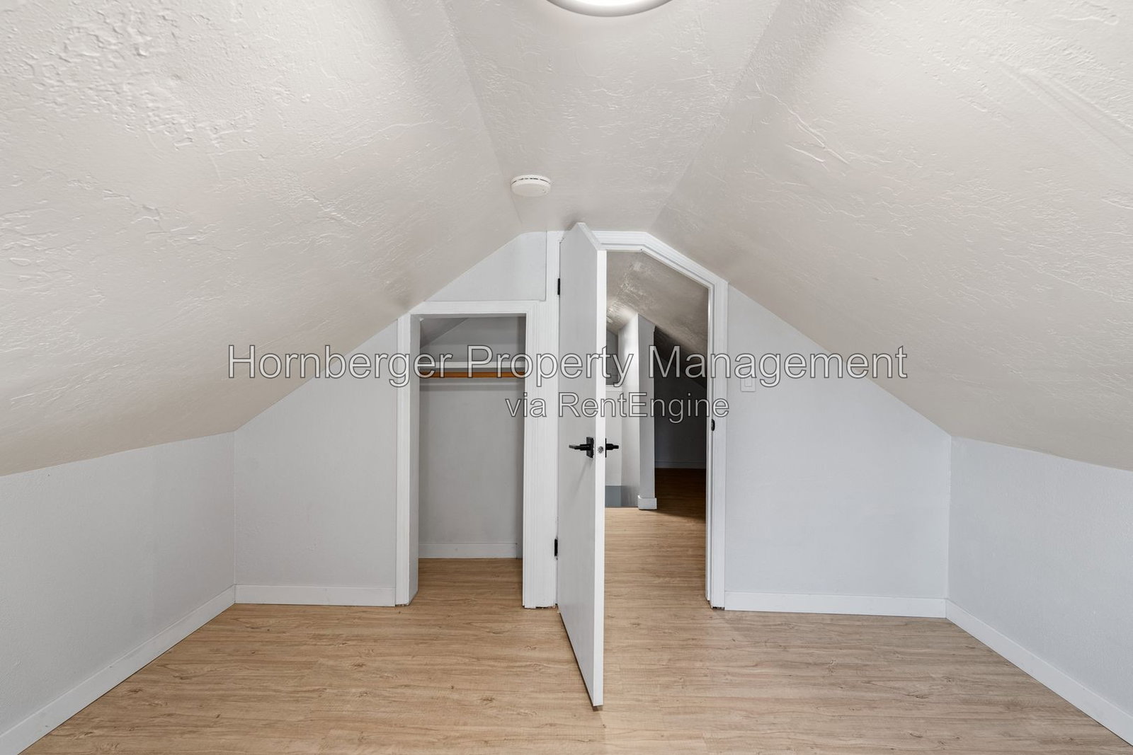 Gallery Image 19